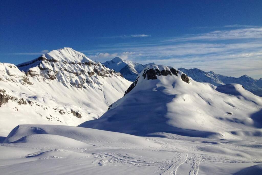 Eden Roc Grand Massif Apartment Les Carroz d'Araches Luaran gambar